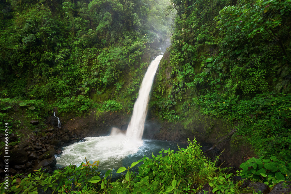 Obraz premium San Fernando waterfall in lush Costa Rica rainforest