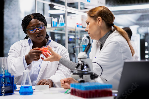 Fotografi Team of laboratory experts examining mold spores on petri dish surface