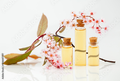 Essence of flowers on table in beautiful glass jar