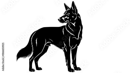 Detailed Black Silhouette Dog Looking Side Majestic Pose Isolated White Background Sharp Focus Stencil Style Art Pet Canine Vector Illustration Elegant Noble Animal Design