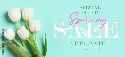 Banner for Spring Sale with...