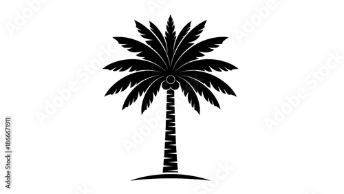 Vector illustration of a captivating tropical island palm tree silhouette with coconuts, on transparent background