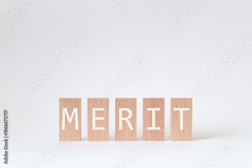 Canvastavla There is wood block with the word Merit