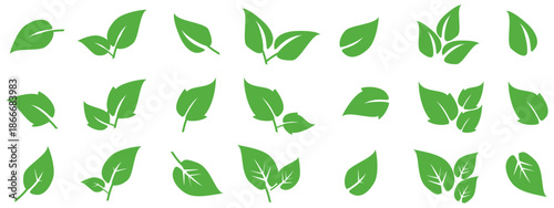 Leaf vector symbol, leaf illustration or leaf emoji in flat style. Spring leaf design, ecological nature theme.	
