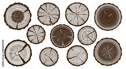 Collection of various tree trunk cross sections showing growth rings and natural cracks.