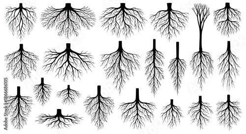 Collection of various tree root system illustrations in black and white isolated on white background.
