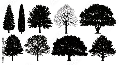 Set of various tree silhouettes with different shapes and foliage styles on a white background.