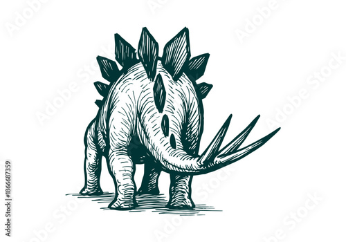 Stegosaurus hand drawn simple sketch vector illustration