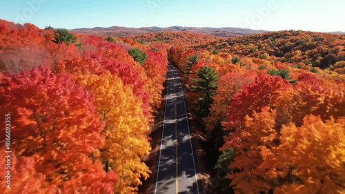 Aerial View of Road Winding Through Forest in Autumn, Colorful Foliage