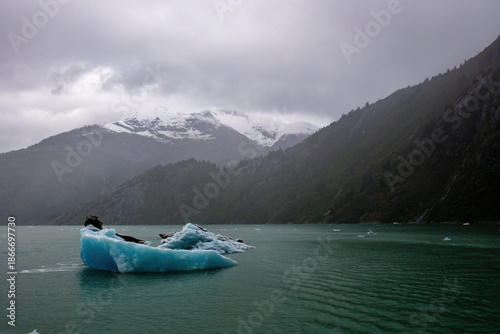 Canvas Print An iceburg floats adrift in the Endicott Arm Fjord in Alaska.