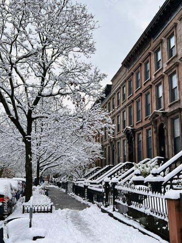 Konstfotografi Snowy Brooklyn Brownstones, New York City
