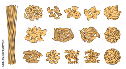 Big collection of various Italian pasta types in a vintage hand-drawn engraved style showing farfalle penne and spaghetti.