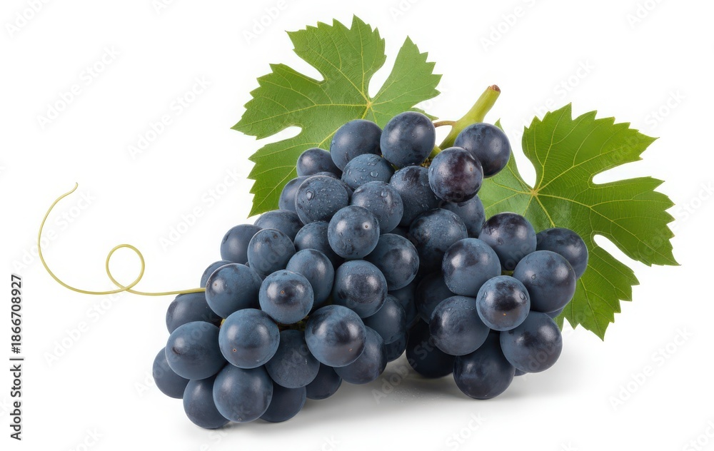Fototapeta premium Cluster of Ripe Dark Blue Grapes with Green Vine Leaves on White Background for Wine and Food Design