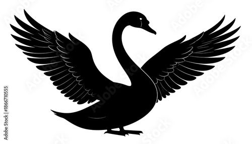 Elegant Black Swan Silhouette with Wings Spread Wide.