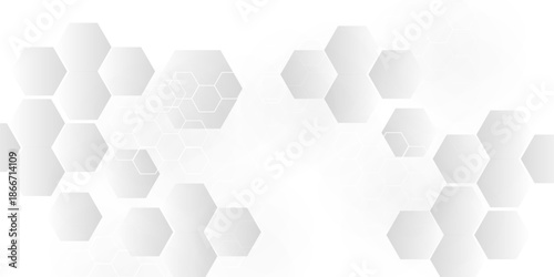 Abstract emboss paper hexagon geometric creative mosaic. white hexagon technology. vector grid honeycomb soccer hexagonal cell structure tile mess. texture emboss bee background.