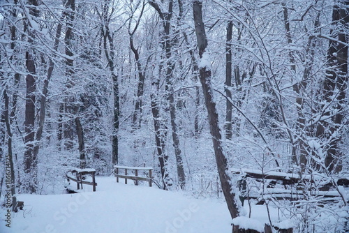 Winter Woodland Trail Covered in Snow at Kings Point Park, New York