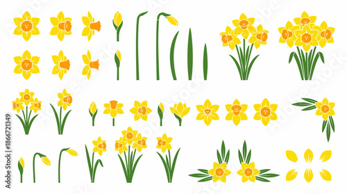 Collection of yellow daffodils and leaves. Spring Vector Packs. EPS Editable