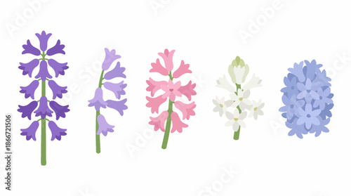 Colorful flowers in a row arrangement. Spring Vector Packs. EPS Editable