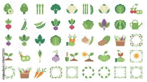 Colorful illustrations of various vegetables. Spring Vector Packs. EPS Editable