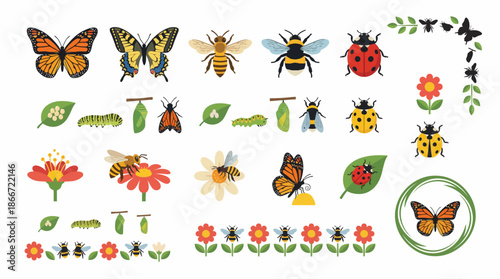 Colorful insect and flower illustrations set. Spring Vector Packs. EPS Editable