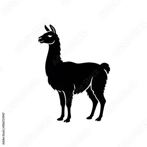 Llama Silhouette Vector Illustration - Minimalist Black and White Animal Graphic