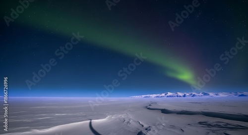 Aurora Borealis illuminates the winter sky above a frozen landscape under a starry night