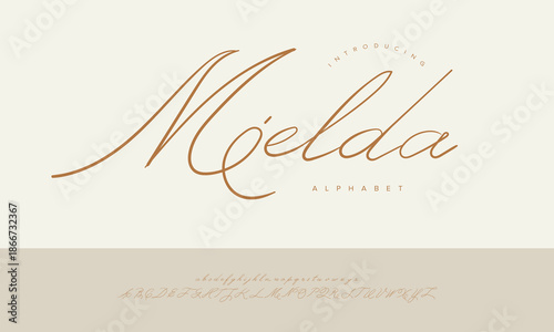 Mielda Classy Slanted Signature Script Font Alphabet Vector For Photography Logo