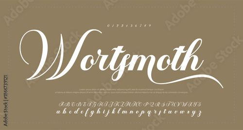 handwrite signature font Calligraphy Logotype Script Brush Font Type Font lettering handwritten 