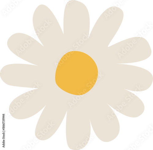デイジーの花のイラスト　カモミールやハーブ系のシンプルな花のイメージ 透明背景