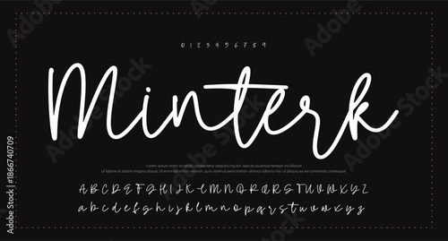 signature Font Calligraphy Logotype Script Brush Font Type Font lettering handwritten 