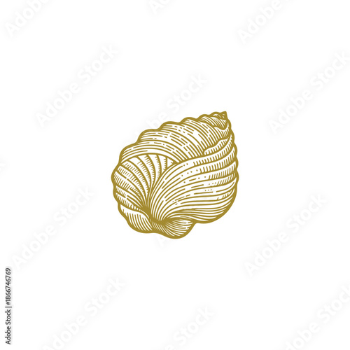Snail shell logo design illustration