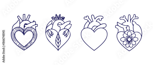 Anatomy heart sketches with botanical leaves and simple outlines for medical and creative projects