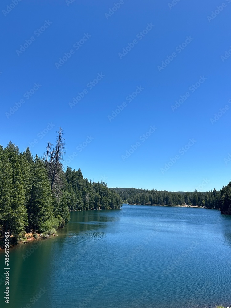 Fototapeta premium lake and forest