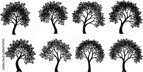Set of Eight Black Tree Silhouettes with Detailed Leaves and Branches Isolated on White Background for Organic Nature Graphic Design