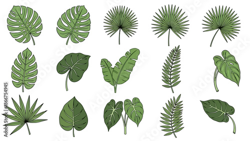 The illustration showcases various green tropical leaves arranged on a white background for design purposes.