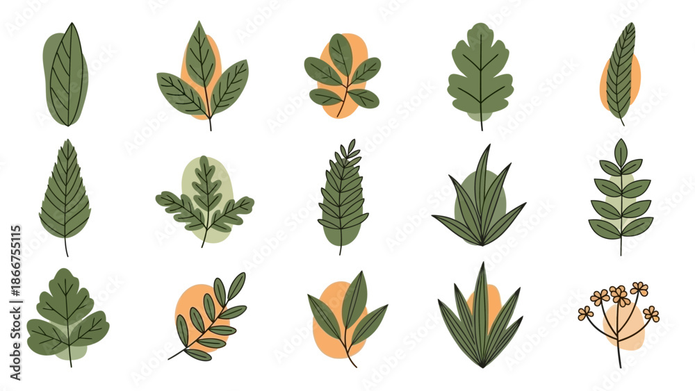 Fototapeta premium A collection of various green and orange leaves arranged in rows on a white background.