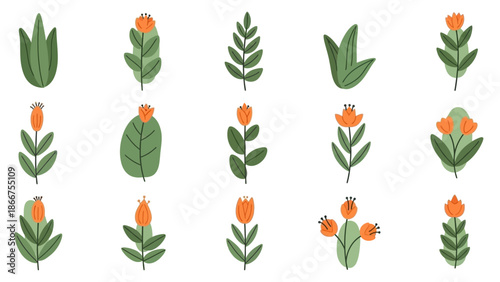 A vibrant collection of various green leaves and orange flowers are arranged on a plain white background for illustration purposes.