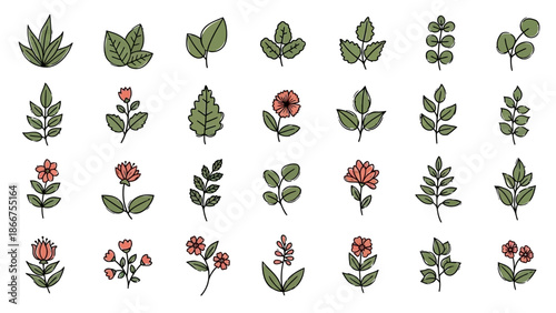 A vibrant collection of various flowers and leaves are beautifully illustrated on a white background for decorative purposes.