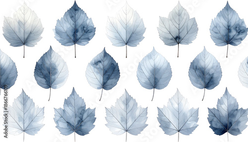 Rows of stylized, grey-blue leaves on a black background, slightly varied