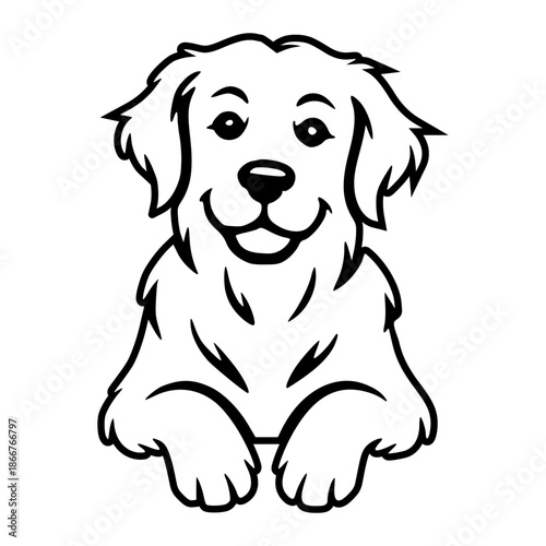 Golden Retriever Peeking