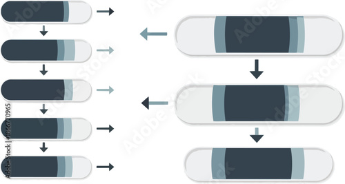Diagram Illustrating Cellular Division and Growth Processes.