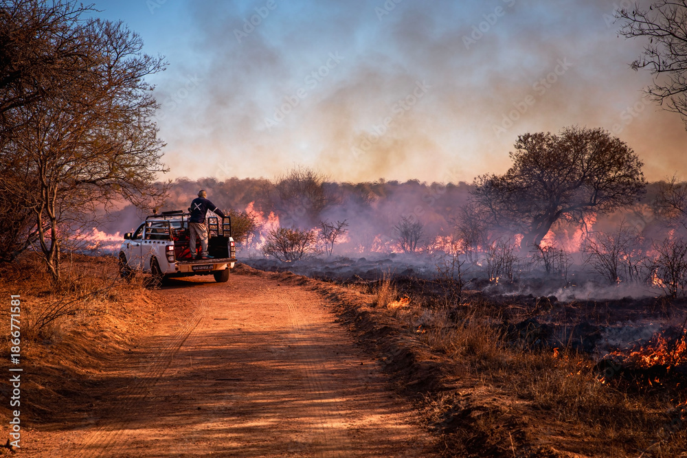 Fototapeta premium Burn Management in the South African Bush