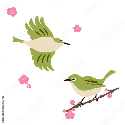 シンプルでかわいいメジロと梅のセット