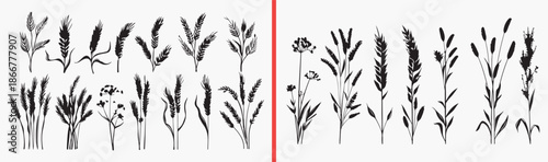 botanical stem illustration, wildflower line art, delicate plant drawings, nature floral sketches, hand drawn stems, botanical clipart set, meadow plant illustration, floral outline vector, plant illu