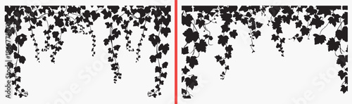 ivy leaf background, dense foliage illustration, botanical pattern art, climbing plant texture, leafy wall design, nature leaf vector, botanical surface pattern, greenery clipart set, foliage illustra