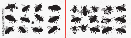 insect icons set, bug silhouette vector, beetle illustration pack, creepy crawly symbols, nature insect graphics, wildlife bug icons, entomology illustration set, small animal silhouettes, insect coll