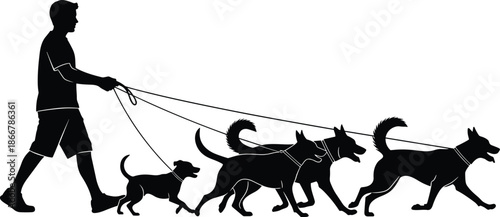 Silhouette of a Male Professional Dog Walker Exercising a Pack of Different Breed Canines on Leashes Isolated on White Background