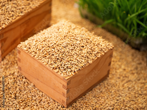 Dried herbal medicines sold in traditional markets