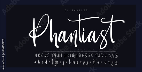 signature Font Calligraphy Logotype Script Brush Font Type Font lettering handwritten 