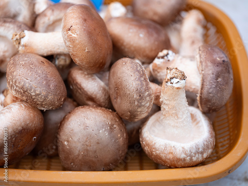 Fresh mushrooms at a traditional market